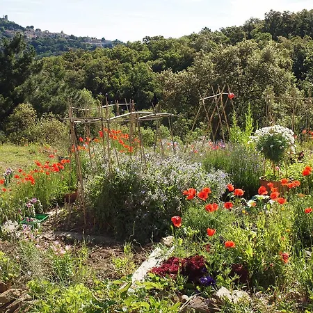 Vue Sur Grimaud * Cogolin
