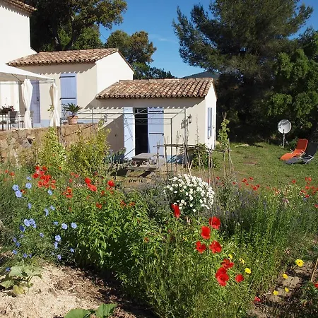 Vue Sur Grimaud * Cogolin