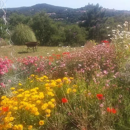 Vue Sur Grimaud