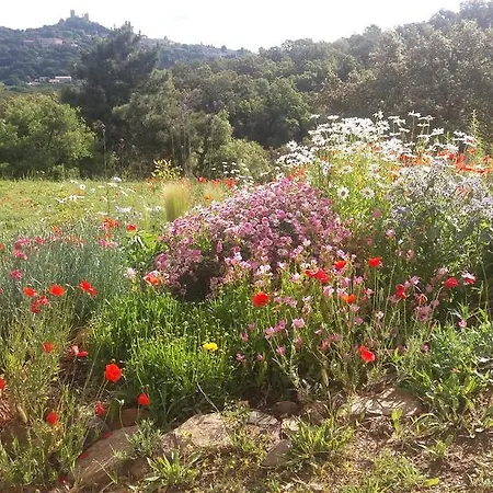 Vue Sur Grimaud Dom wakacyjny